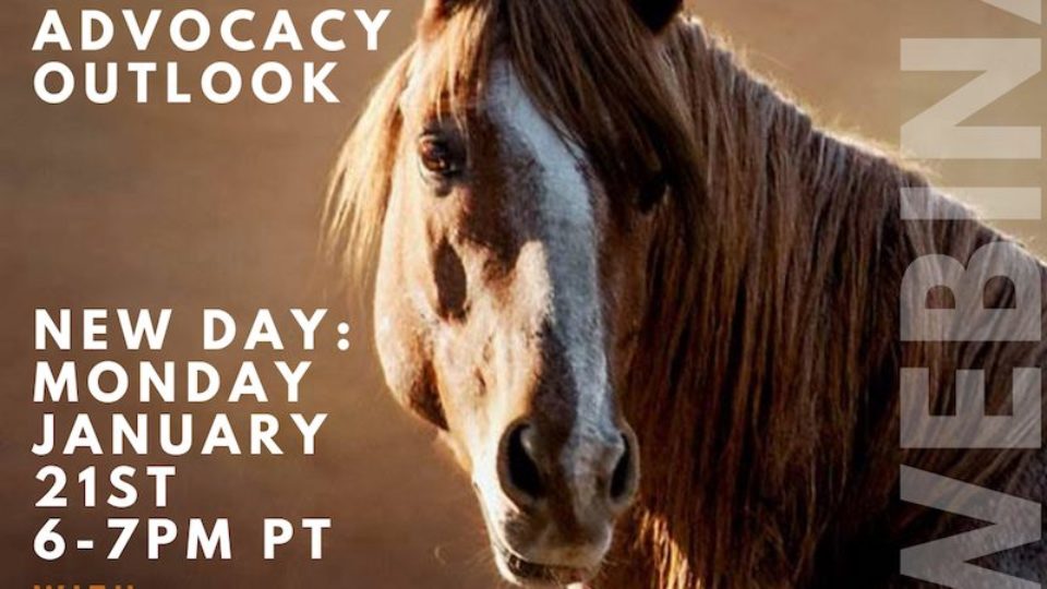 2019 advocacy webinar resched
