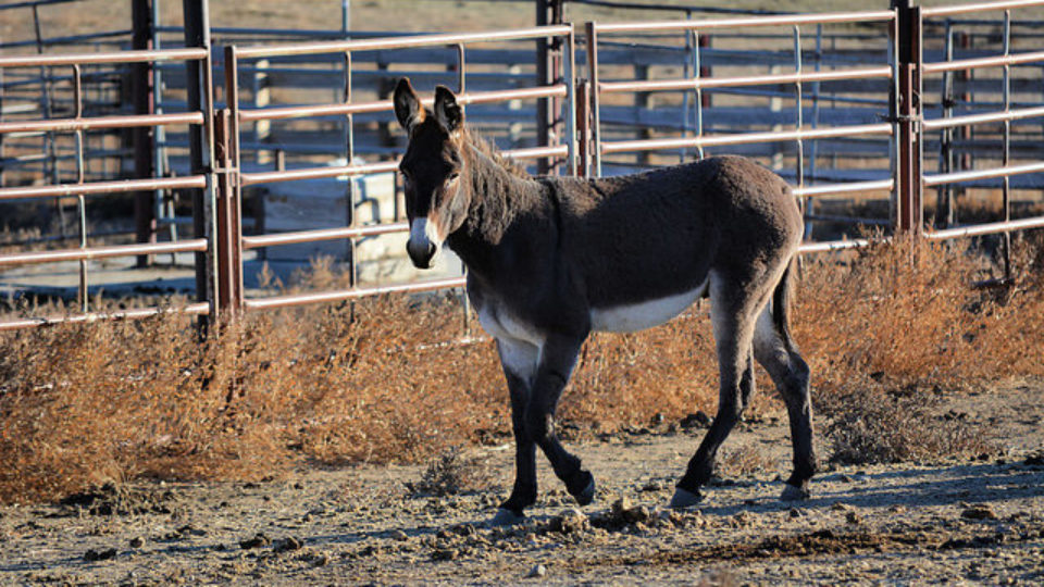 44452181065_8b4fdeb525_z