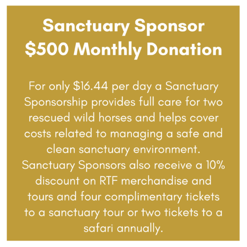 Sponsorship Benefits