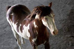 Gone But Not Forgotten