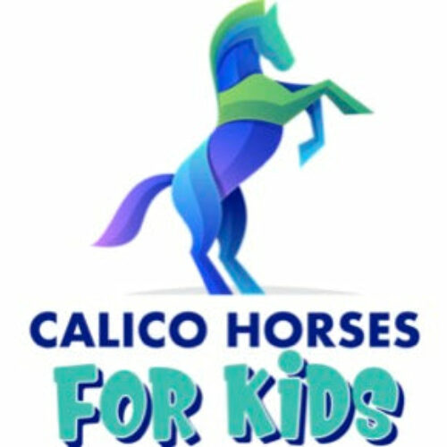 Calico Horses for Kids – Donate to RTF!