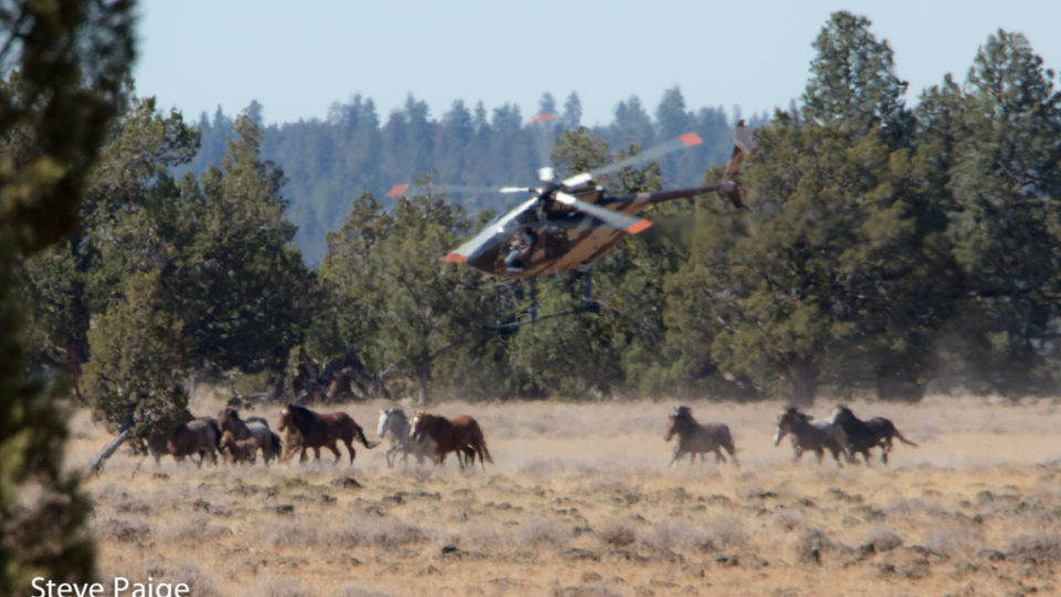 Devils-Garden-8260-1024×620