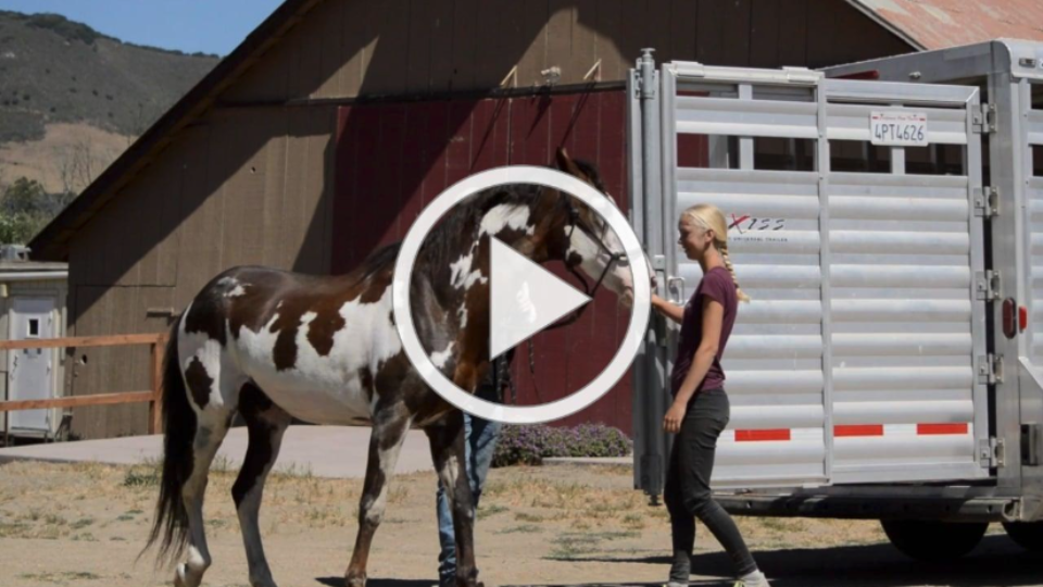 Diamante Video Cover Photo