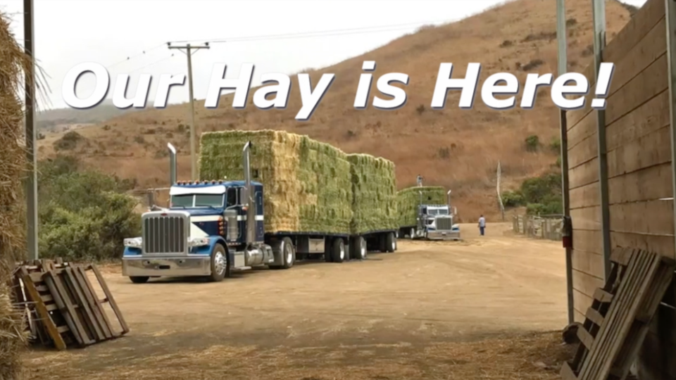 HayArrives