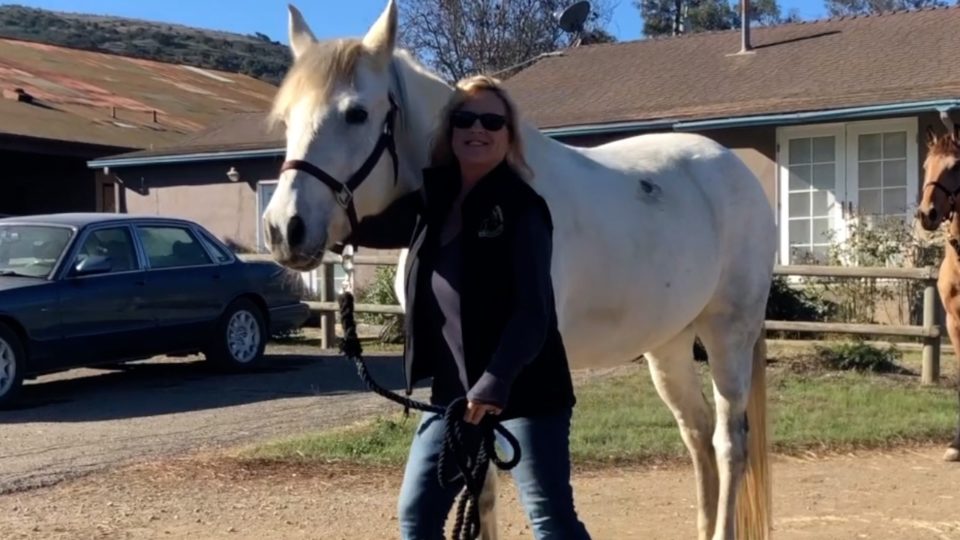 Heather and Chloe Find a Home