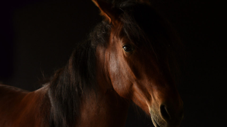 RTF_051119_2337B copy