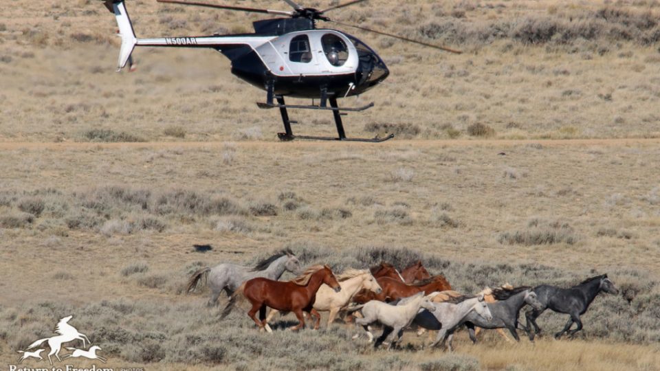 Salt-Wells-7560-1-1024×632