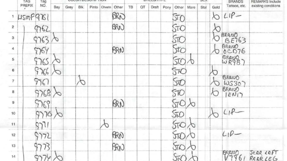 Screen Shot 2018-07-22 at 10.37.35 AM