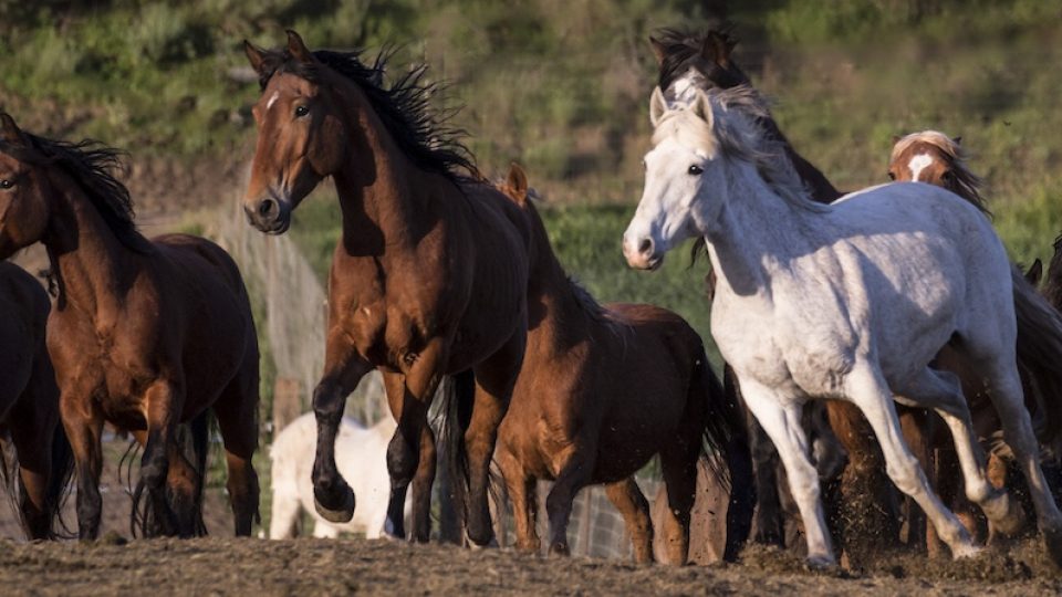 band on the run edit