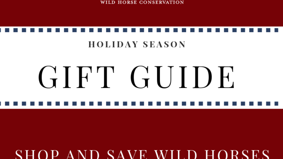cover RTF GIFT GUIDE