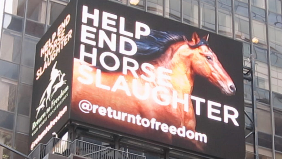 horizontal horse slaughter sign