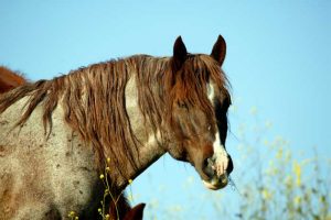 Gone But Not Forgotten