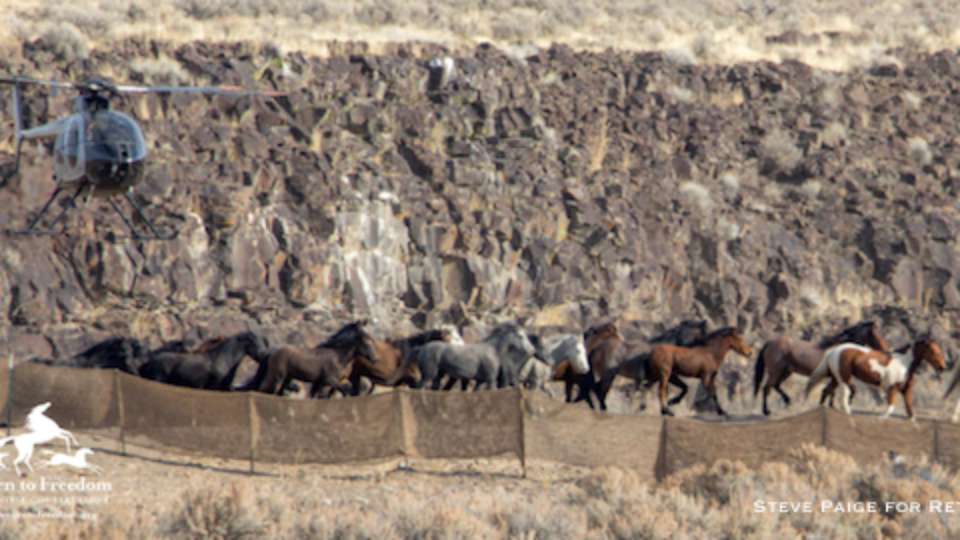 owyhee3b