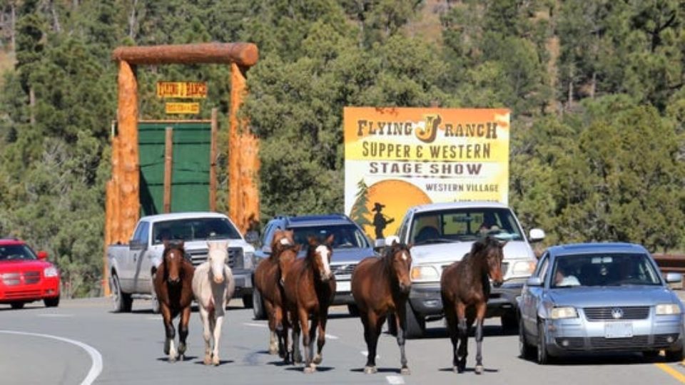 ruidoso