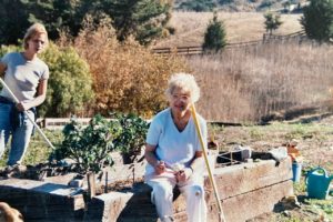 Stella DeMayo Veterinary and Special Needs Fund