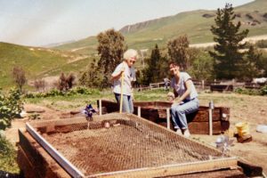 Stella DeMayo Veterinary and Special Needs Fund